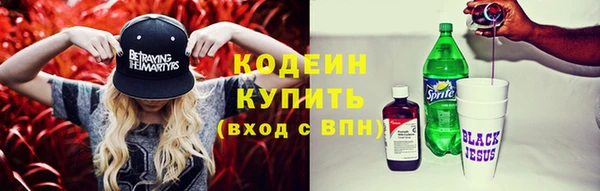 спиды Богданович