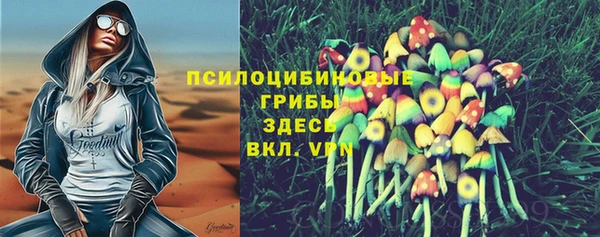 a pvp Богородск