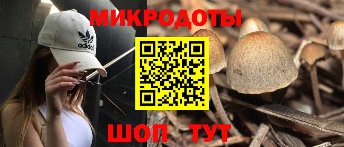 Верхний Уфалей  Галлюциногенные грибы GOLDEN TEACHER  Вход с VPN 