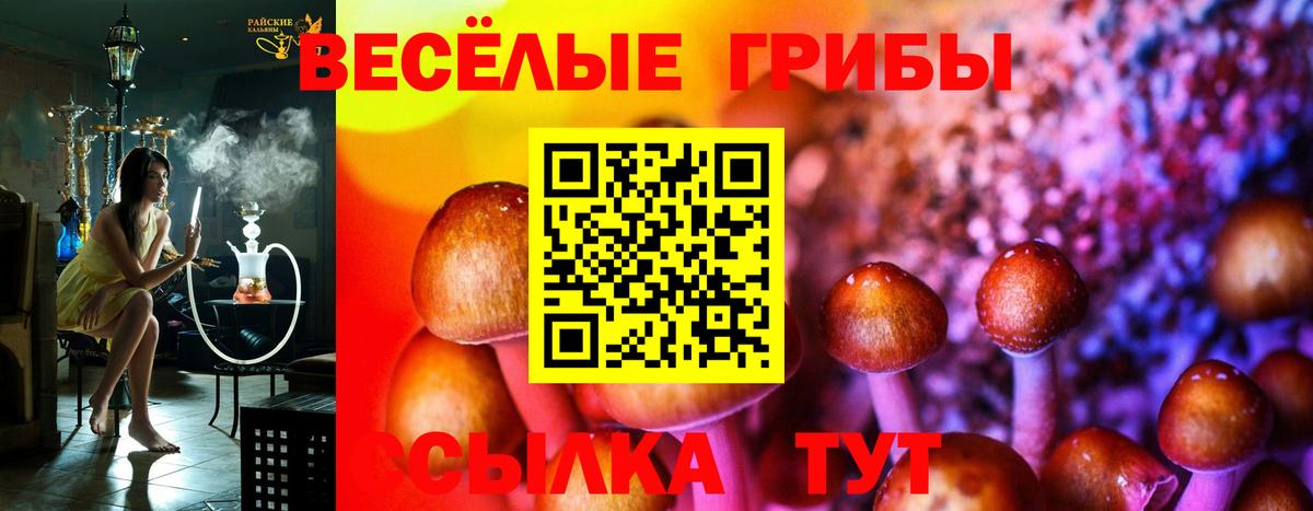 Галлюциногенные грибы MAGIC MUSHROOMS  Верхний Уфалей  Псилоцибиновые грибы GOLDEN TEACHER 